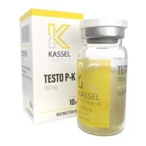 TESTO P – K KASSEL