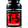 T5 Zion Labs Zion Labs
