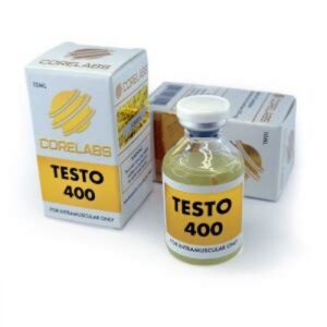 Testo 400 Core Labs