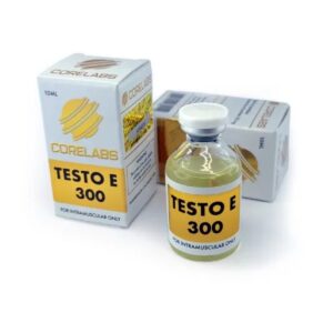 Testo E 300 Core Labs