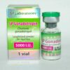 SP Gonadotropin 5000 IU SP Laboratories